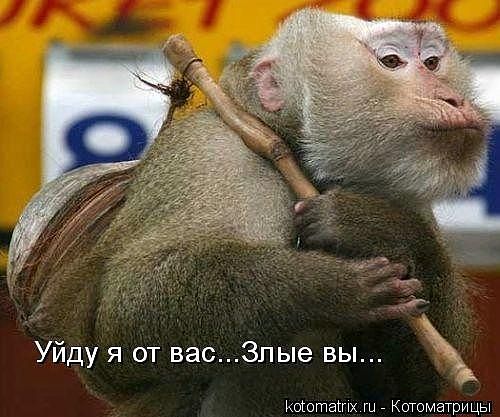 Они мне никогда не нравились...