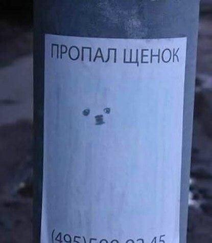 Юмор не для всех