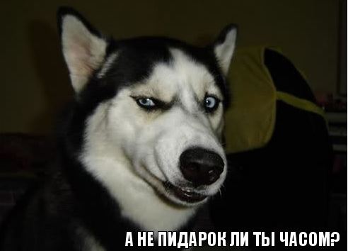 Размышления на тему ЗП в России и Европе