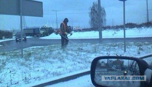 Фото из этих ваших интернетов