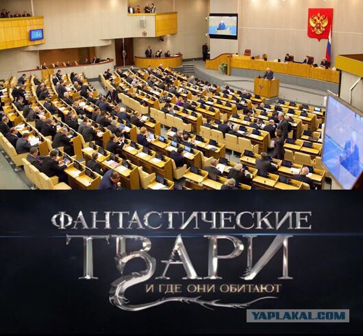 Курировать разработку закона о российской нации будет Магомедсалам Магомедов, а русских нет