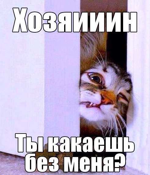 Юмор не для всех