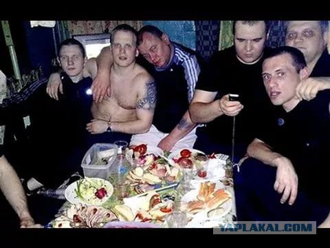 Как я побывал в сетевой пирамиде
