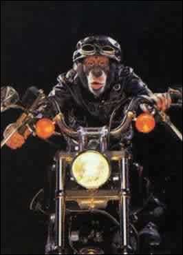 ДТП с мотоциклом в Краснодаре.