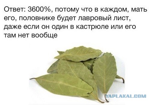 Атракцион невиданой щедрости от производителя.