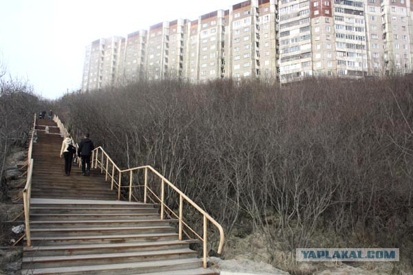 Канадец построил лестницу в парке за 550 долларов США после того, как город оценил 65 000 долларов