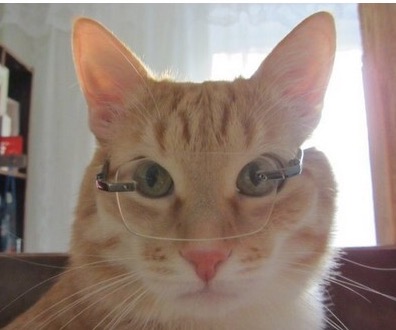 Рыбалка Демьянка-2 2017