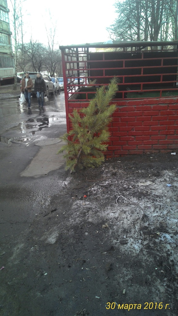 Подборка картинок с личного мобильного