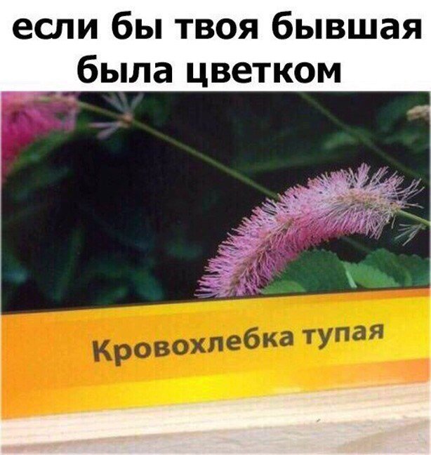 Не очень адекватный юмор