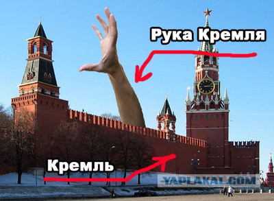 Профессиональный боксёр убил охранника Порошенко одним ударом