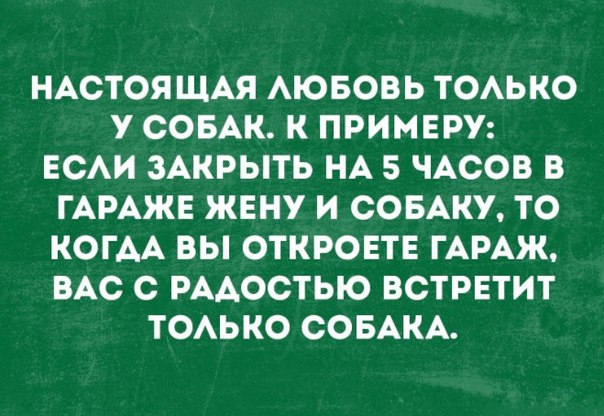Эти смешные животные