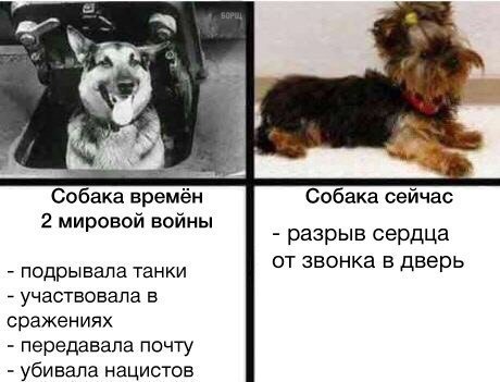 Анекдоты и картинки с надписями