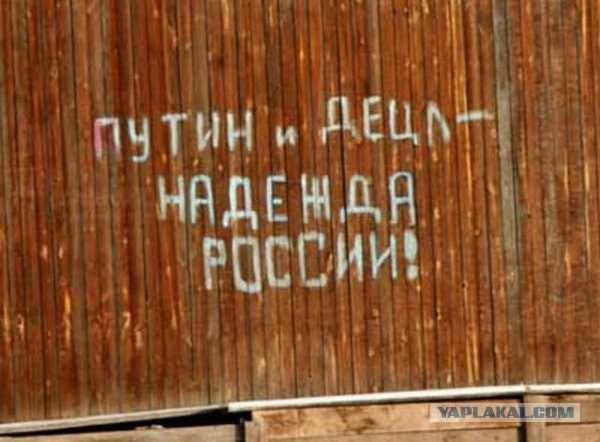 Асфальт, стены, заборы... Так пить или жить?