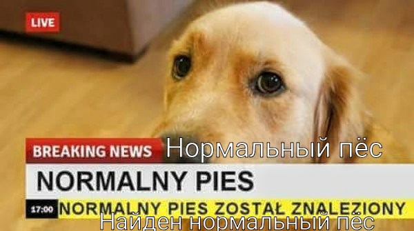Срочные новости из Польши