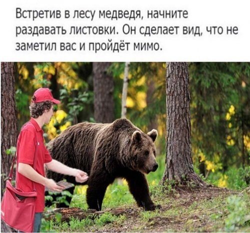 Бредзона