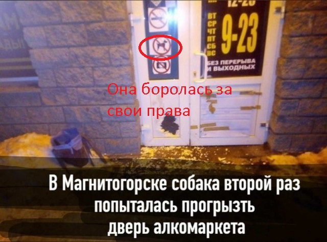 Пара-пара-пам! Фьють. Картинки с надписями. И без