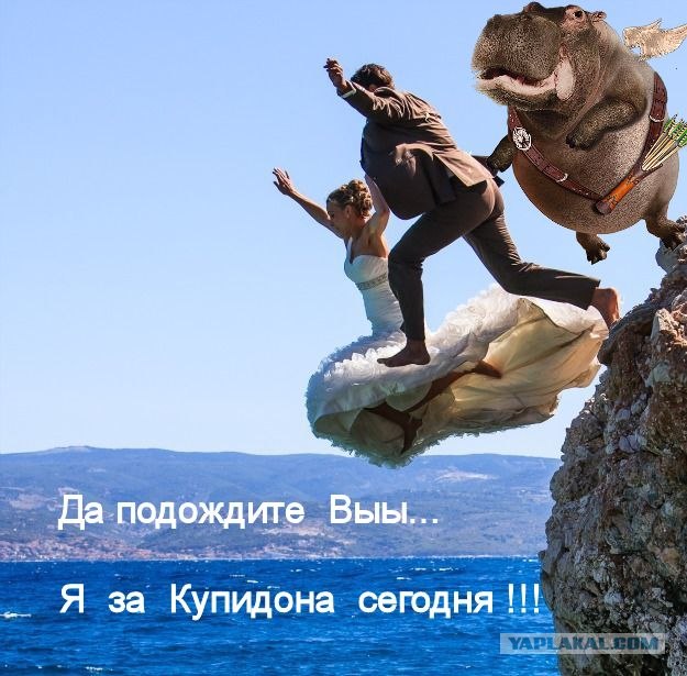 Фотожаба: Правильная свадебная фотка