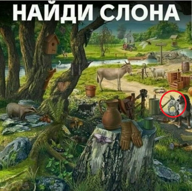 Картинки с надписями и всякие жизненные фразы 06.04.21