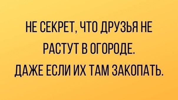 Народная меДИЧина 8.08