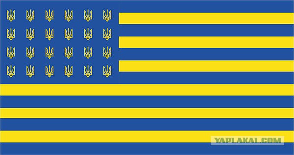 Мозгов нет, точно...