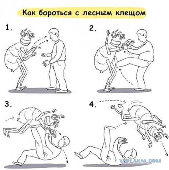 Мы ждём тебя