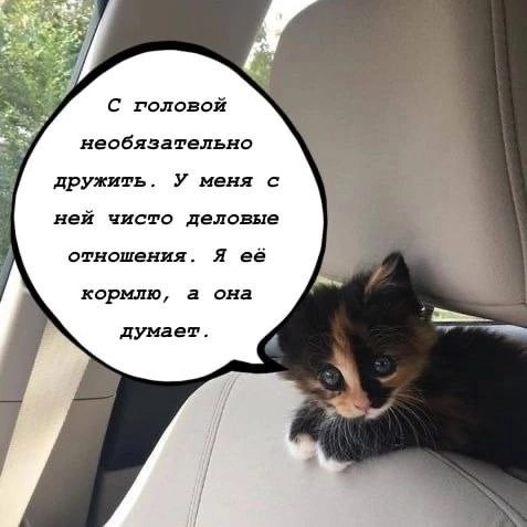 Нуштош 13.05.2023