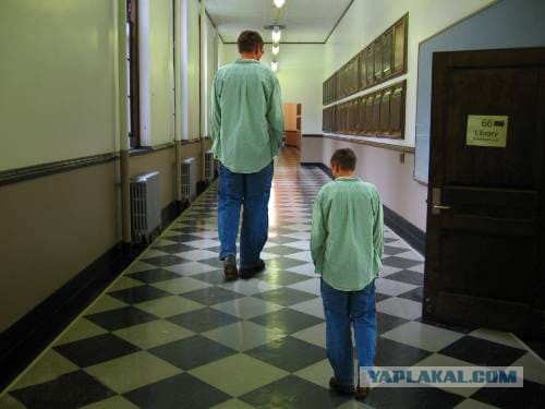 Иллюзия