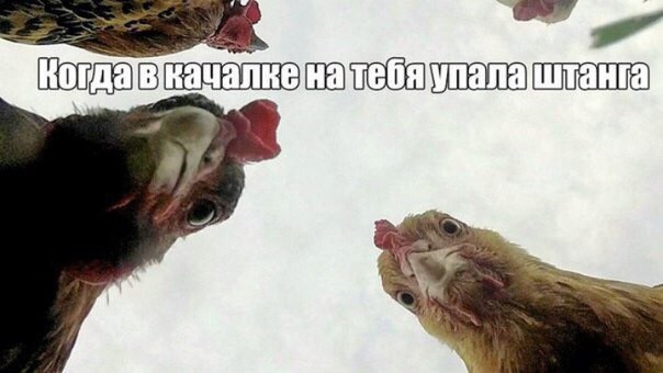 Всего понемногу. От 30.11.23