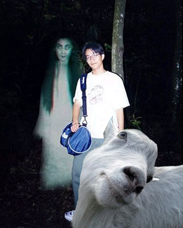 Три товарища