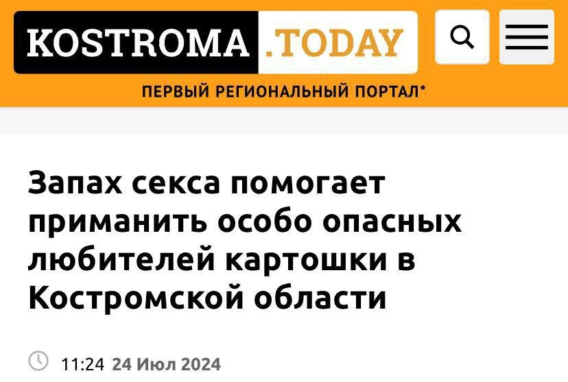 https://s00.yaplakal.com/pics/pics_original/9/5/5/19271559.jpg