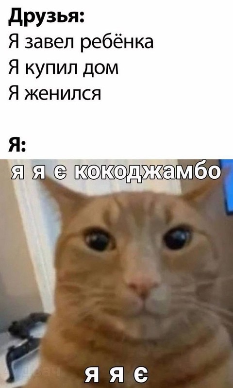 Всего понемногу. От 16 сентября