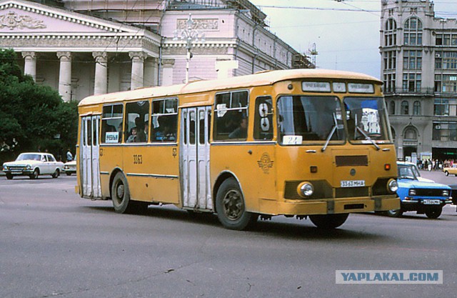 «Горбатый», «ванна» и «собачья нога»: какие прозвища давали автомобилям у нас и за границей
