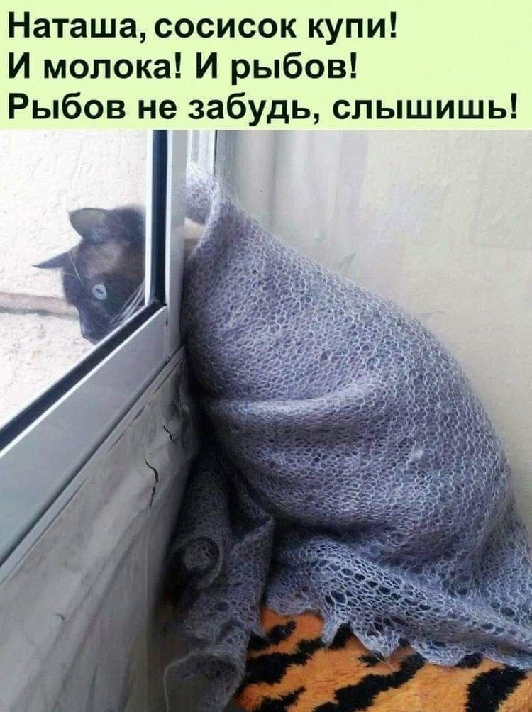 20153559.jpg