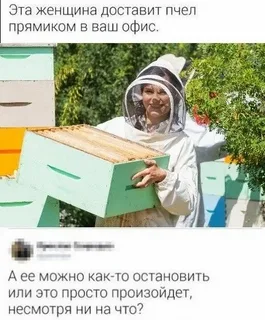 Шмели для опыления