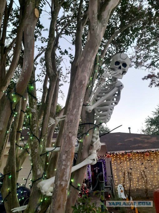 Техас готов к Хэллоуину