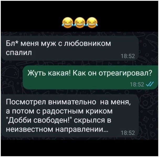 Субботние картинки