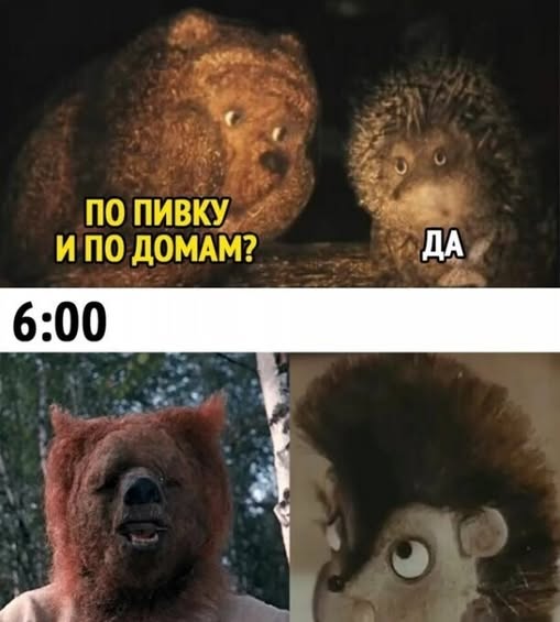 20576559.jpg