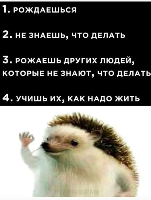 Четверговые картинки