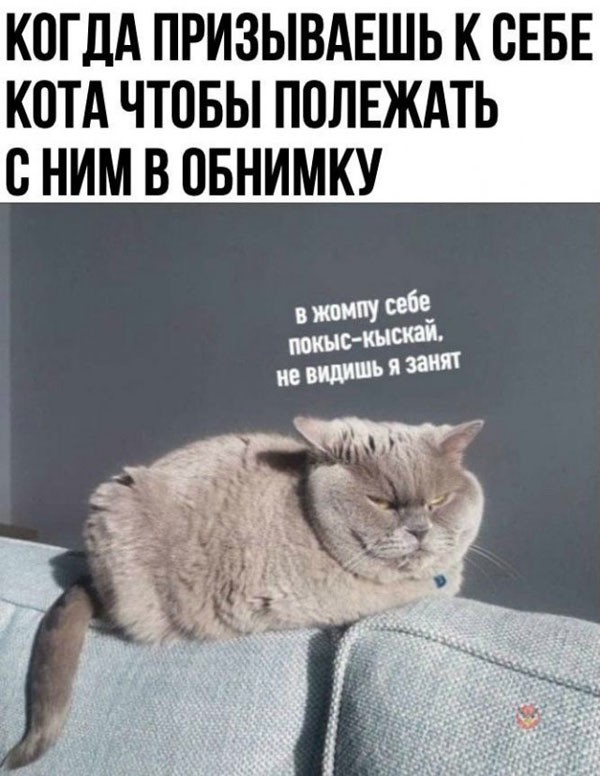 Среда намекает нам о неизбежности пятницы