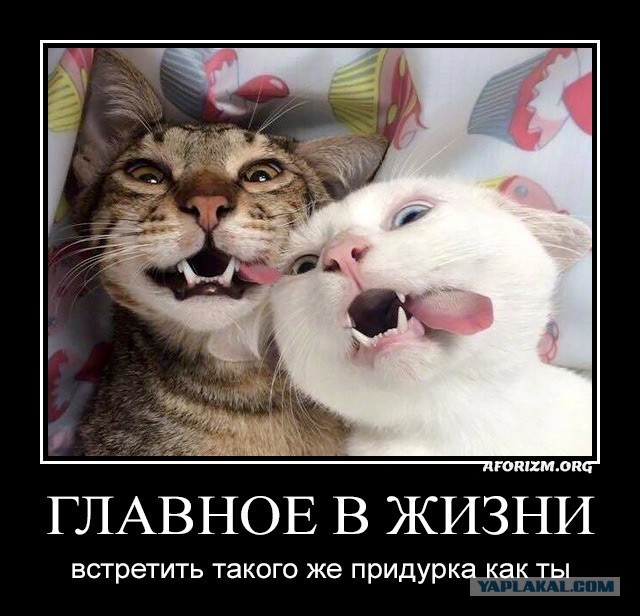 Секрет семейного счастья раскрыт