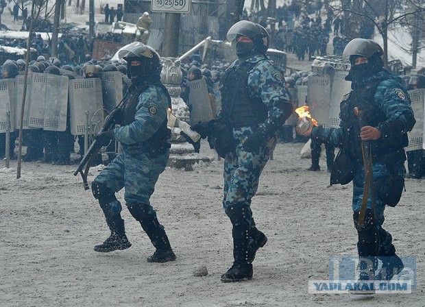 "Георгиевские " ленточки против флагов УПА