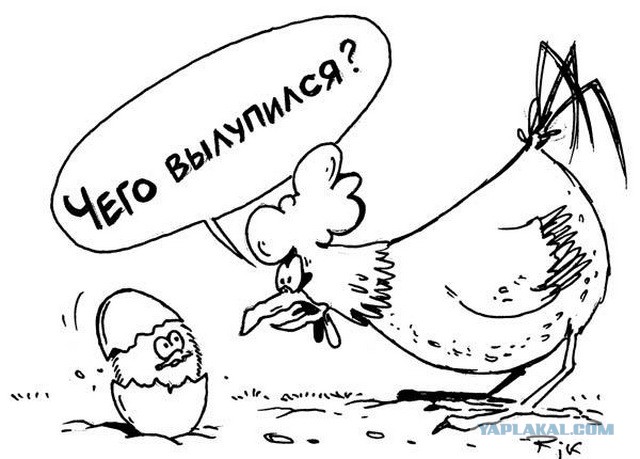 Сварил яйцо вкрутую, а скорлупа немного треснула