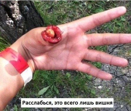Показалось?