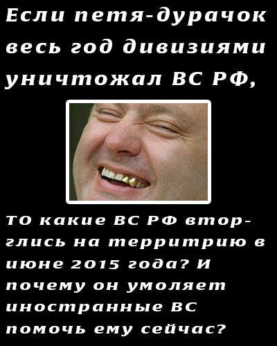 Путин может получить право на применение ВС РФ