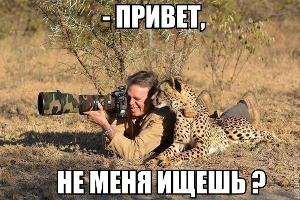 Картинки и демотиваторы
