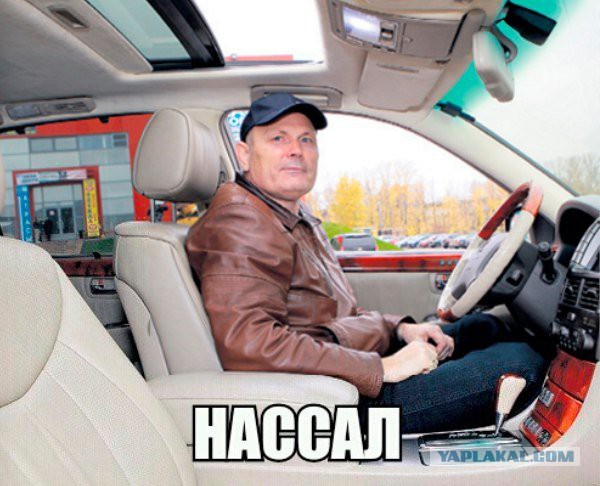 Злые шутки или минутка сарказма на ЯП-е, 16+