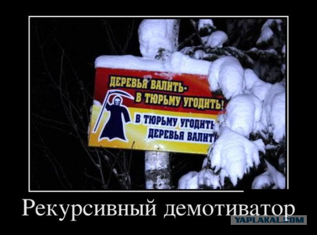 Позитивная подборка демотиваторов