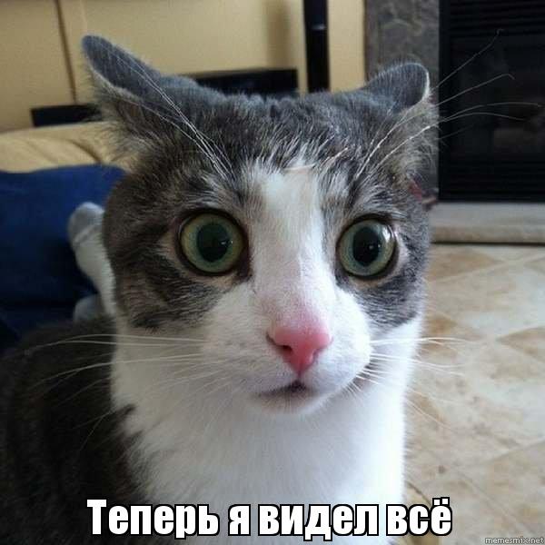 Легендарная бабуля вчера умерла