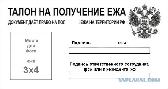 Шел третий год санкций