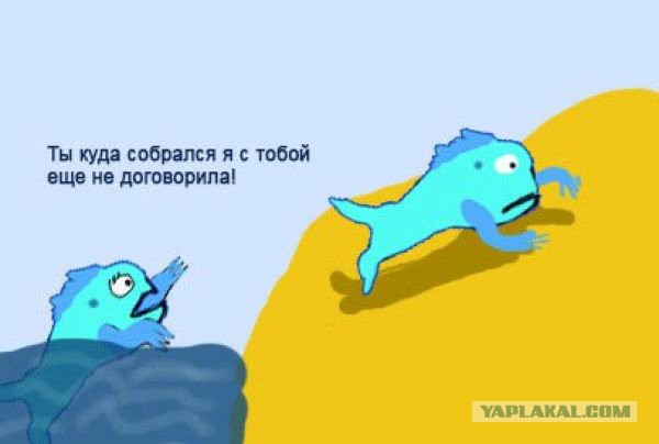 Картинка Я Не Договорила